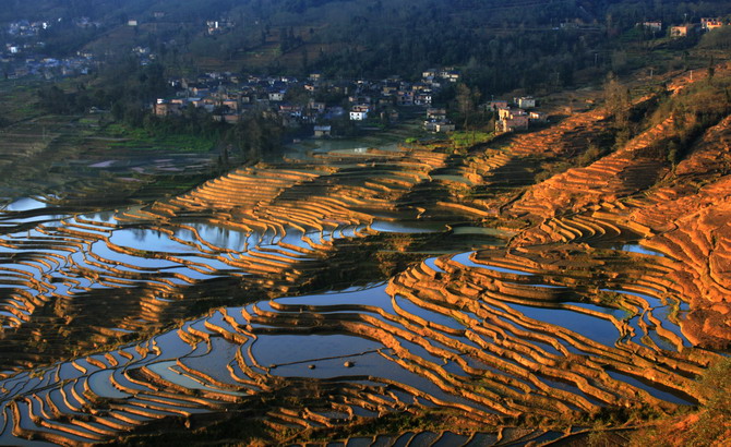 乡村晨景 摄影 喜庆