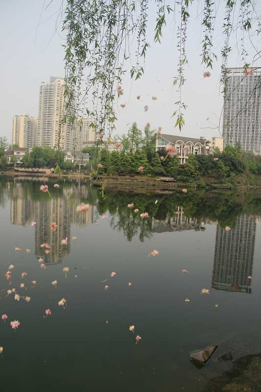 花洒龙湖 摄影 冰糕化了