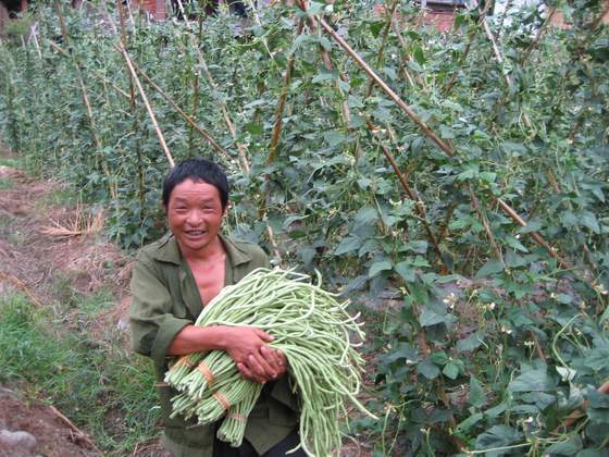 在田间，与菜农对话 摄影 张玉祥