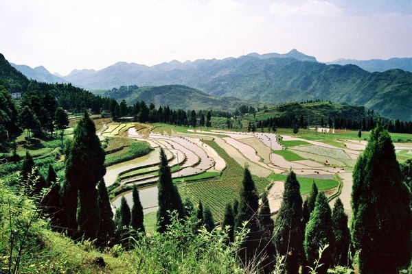 深山梯田 摄影 天方地圆