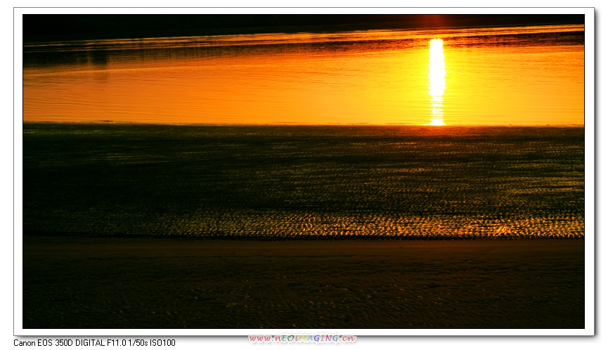 黄河夕照飘金带 摄影 寒柳