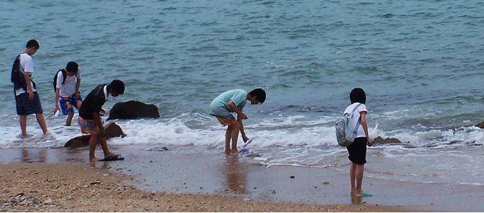 踏浪 摄影 雨v季