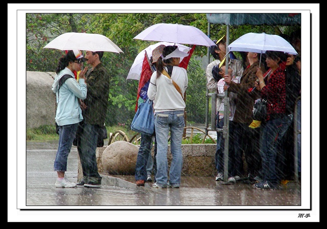 雨季游普陀 摄影 汪萍