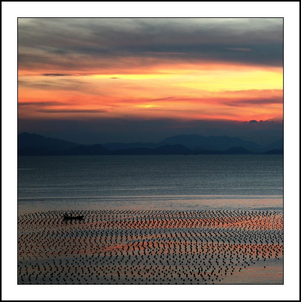 海港之夜 摄影 帘动荷风