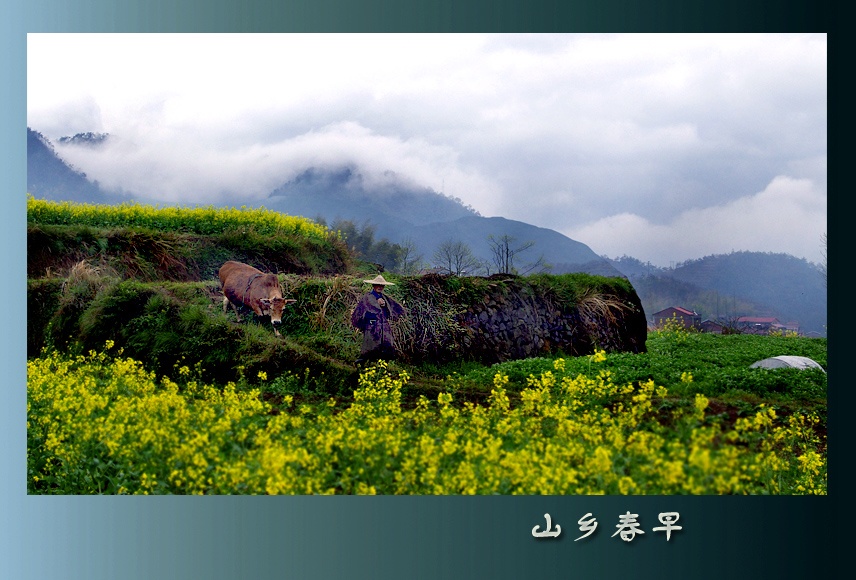 山乡春早 摄影 文竹细雨