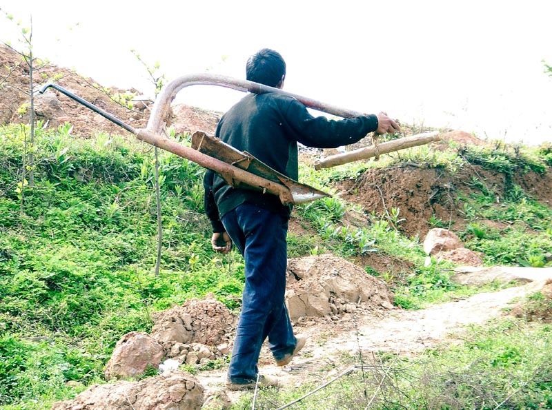 生活的路 摄影 紫色女人