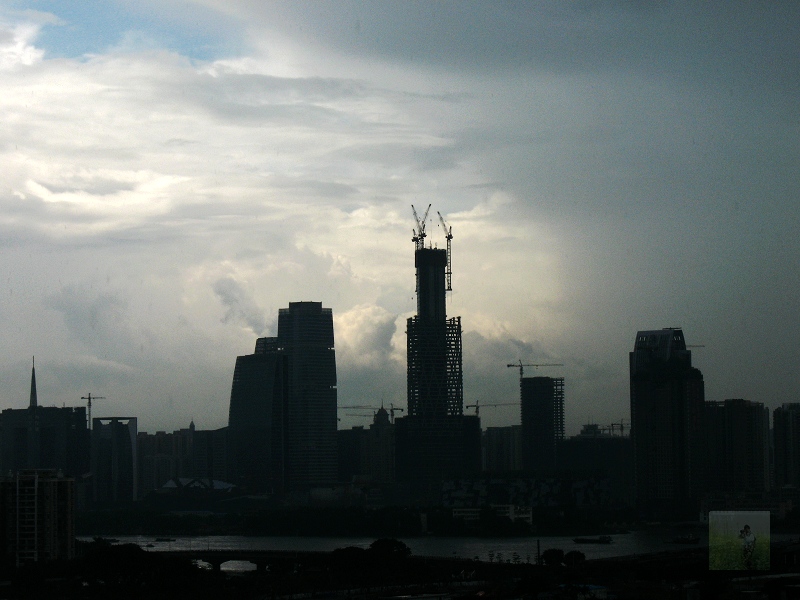 雨后春笋 摄影 随风飘浮