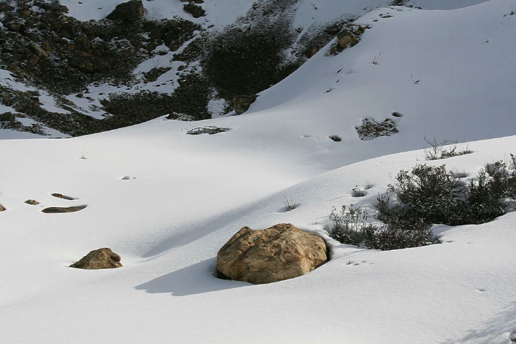 2008西藏行—高原的雪 摄影 三人