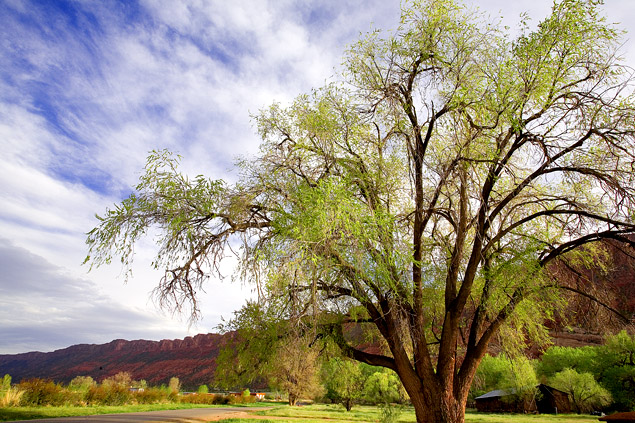 Moab, Utah, USA 摄影 yuhan