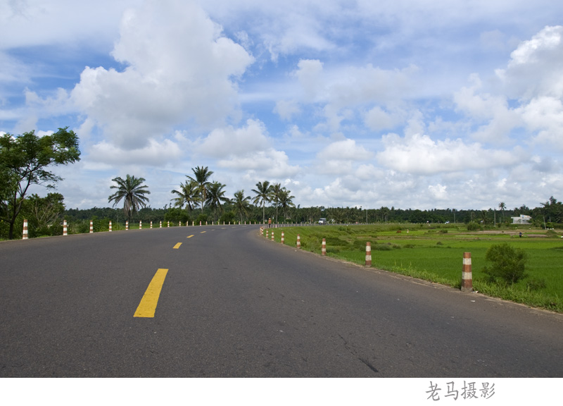 海南的乡间公路 摄影 海口老马