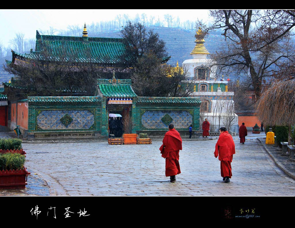 佛门圣地 摄影 老竹翁