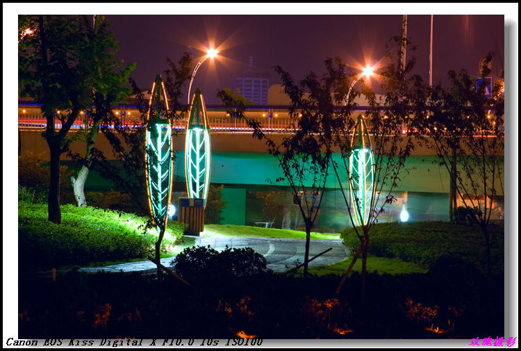 越夜越美丽之四 摄影 雨玫瑰