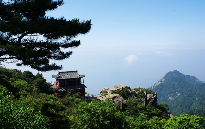 泰山即景 摄影 自由原野