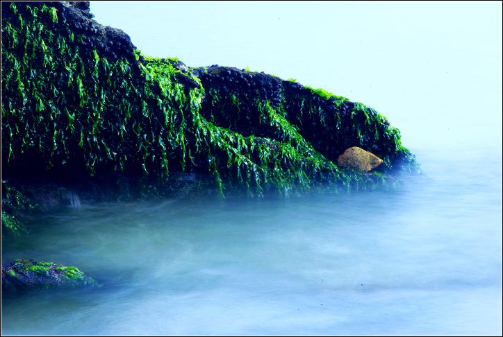 海礁 摄影 海山掠影