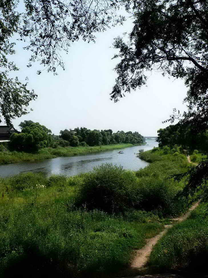 太阳岛湿地 摄影 哈哈老顽童