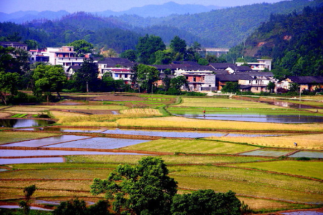 山区农村 摄影 影海叶舟