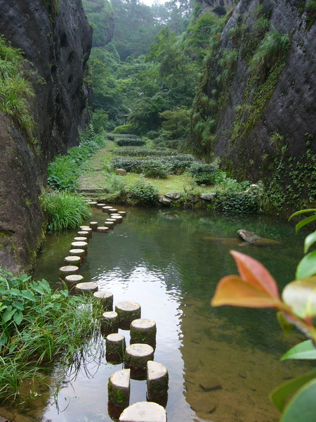 山涧木桩路 摄影 一方水