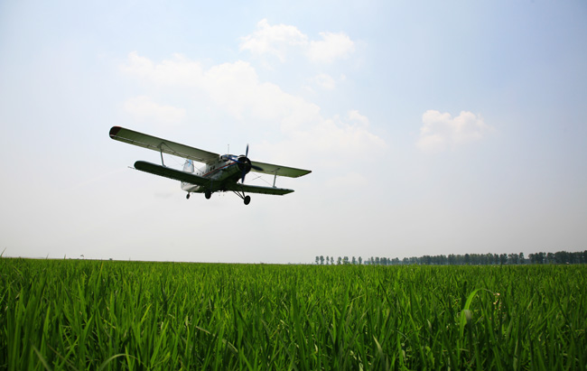 农业航空作业 摄影 甲由田