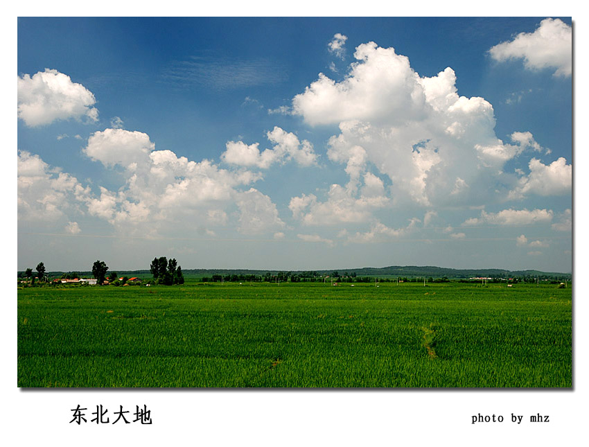 《东北大地》 摄影 都来评评