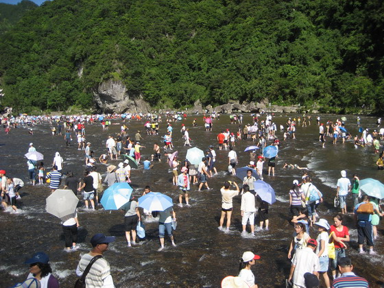 水上闹市 摄影 张玉祥