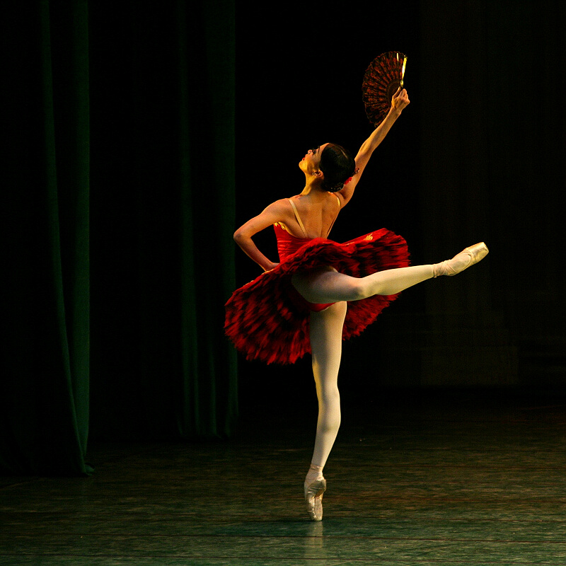 芭蕾之美 摄影 纳兰红叶