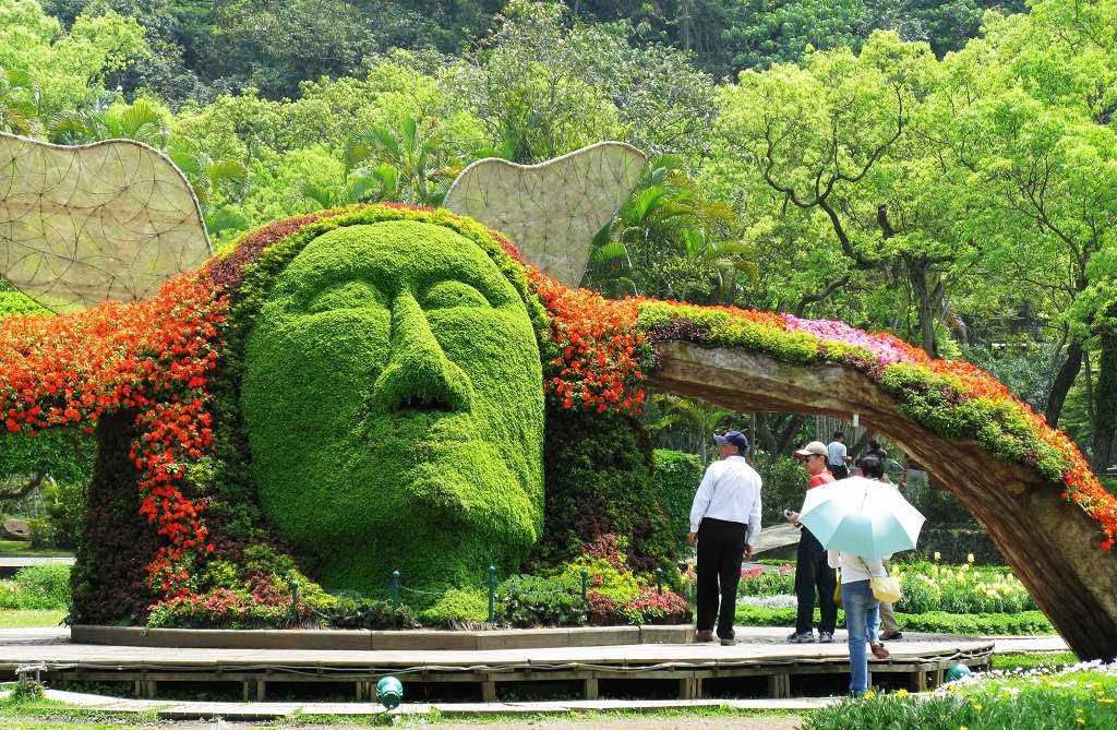 仰望长天 摄影 公正