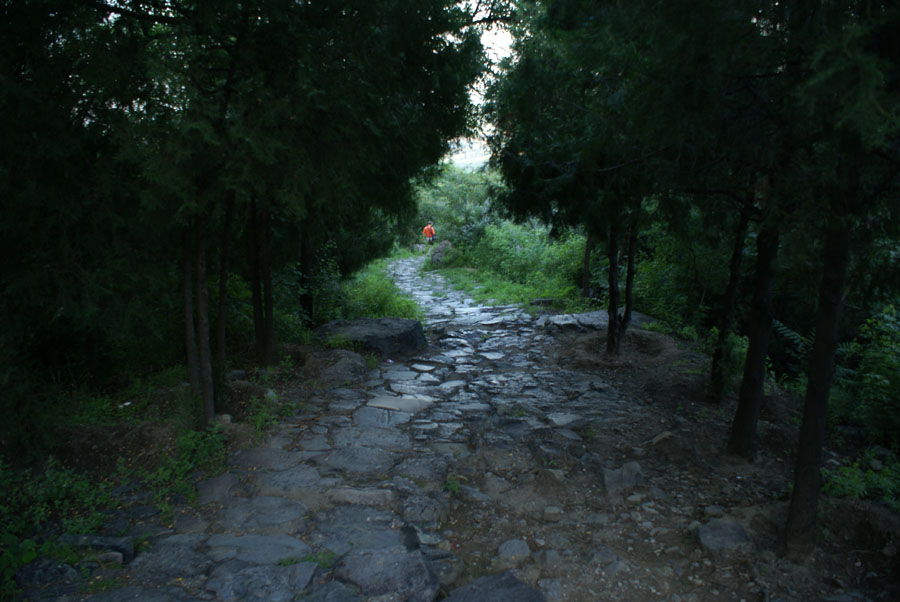 林间小路 摄影 娇蕊