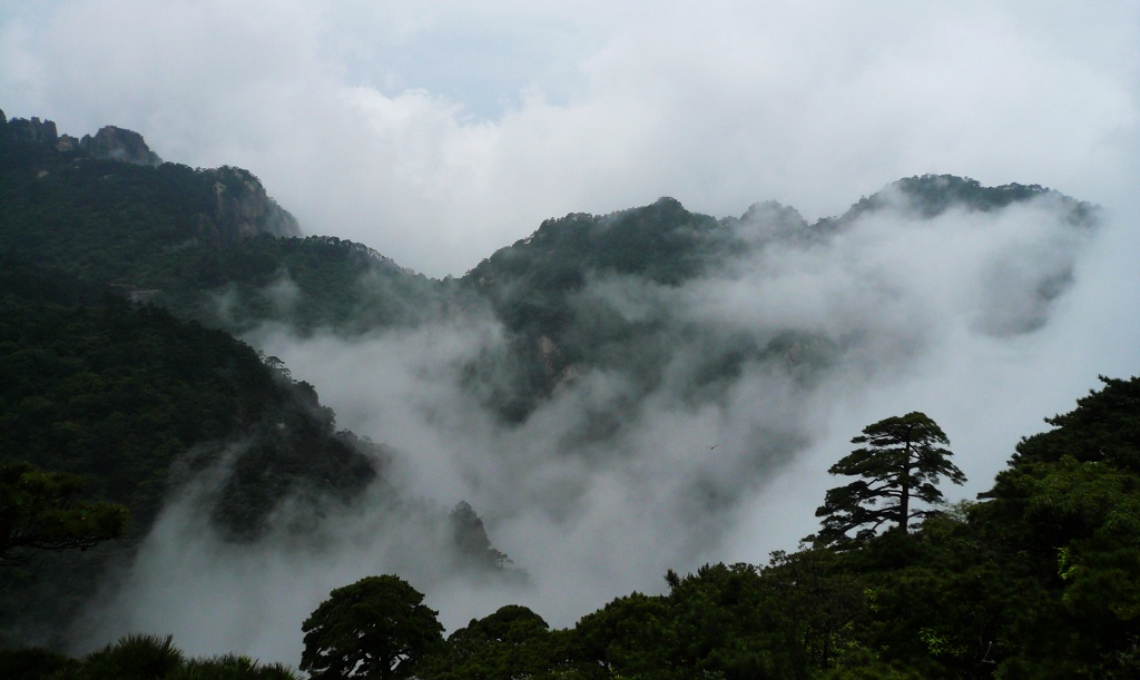 自驾黄山游4 摄影 爱琴海岸