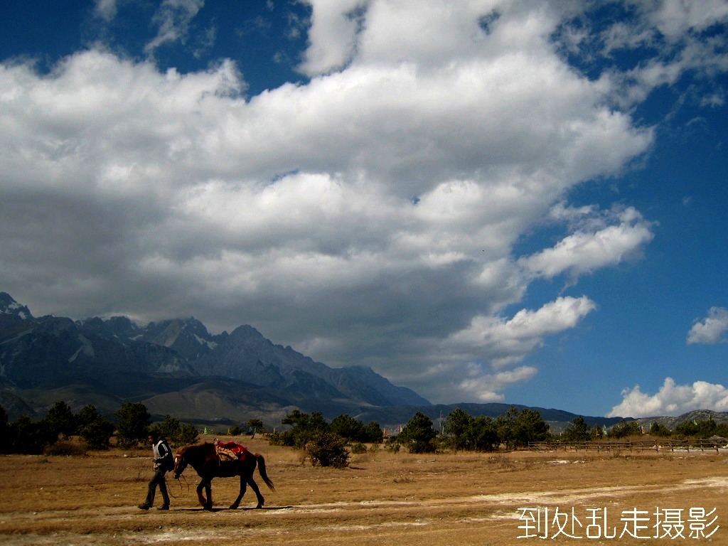 丽江风采 摄影 到处乱走