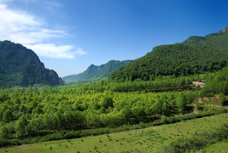 峡门青山 摄影 高原雪峰