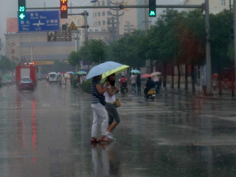 雨中行 摄影 潇潇的雨