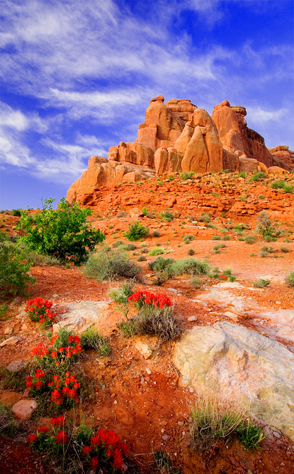 Arches National Park, Utah 摄影 yuhan