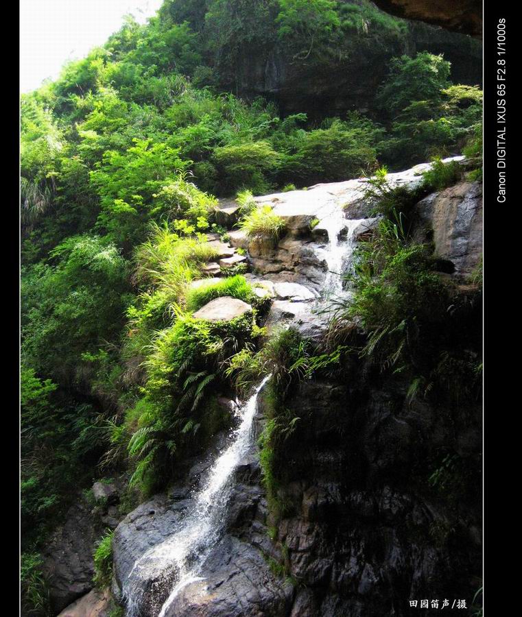 西华山山泉 摄影 田园笛声