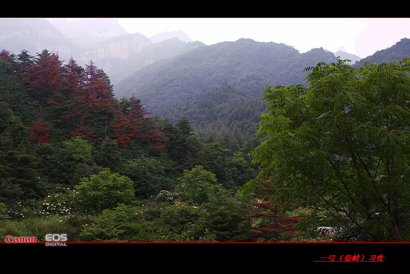 夏日秦岭 摄影 一弓