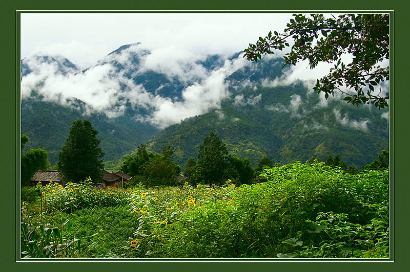 青山新雨后 摄影 与世无争