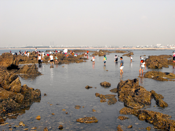 赶海去 摄影 秋雨2008