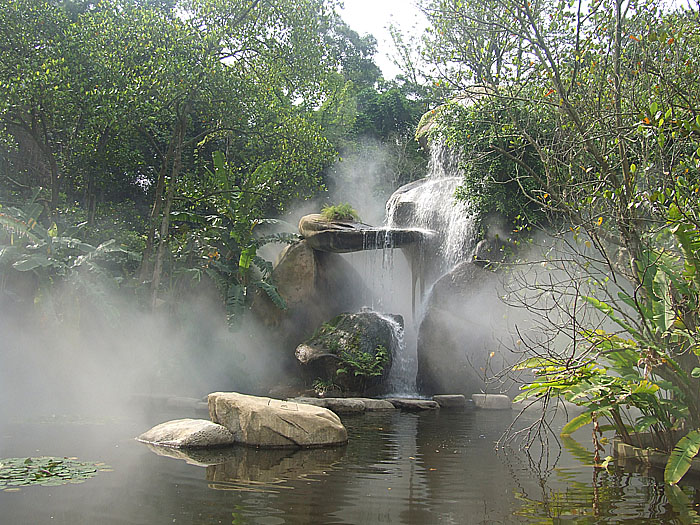 “热带雨林” 摄影 半仙