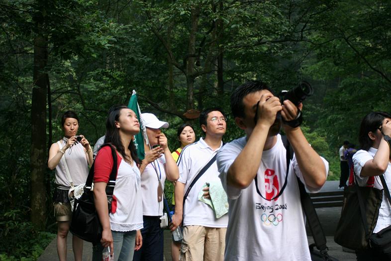 张家界之吸引 摄影 陇上汉