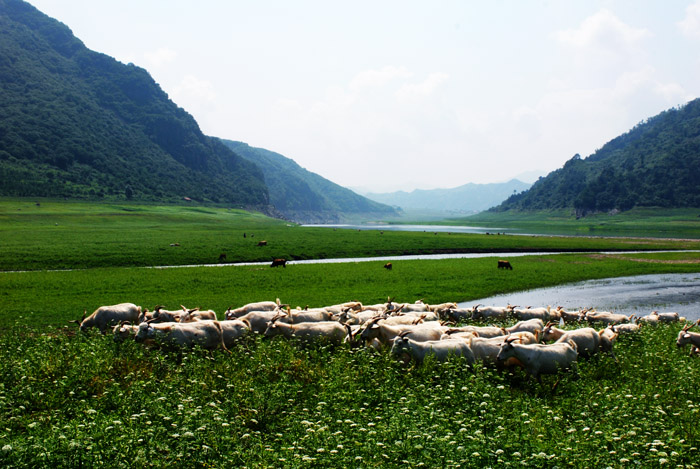 沃土 摄影 光影世界