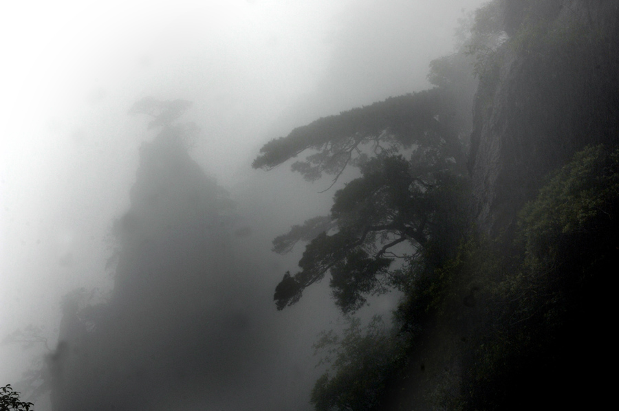 烟雨三清山 摄影 安全