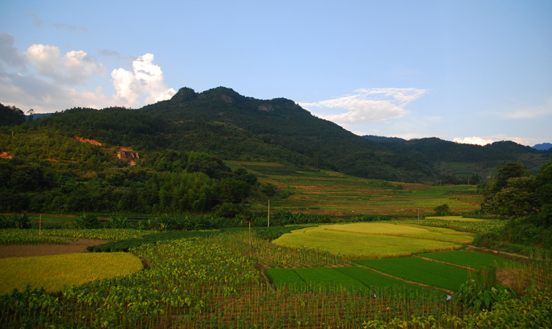 田园 摄影 霞湖客