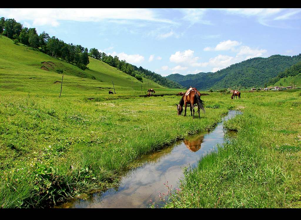 关山-6 摄影 想乐