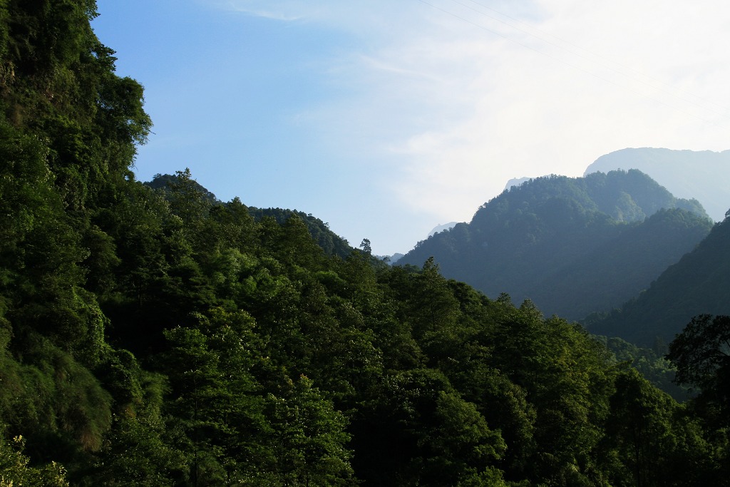 峨眉山风光--7（狗熊上山） 摄影 找事没事