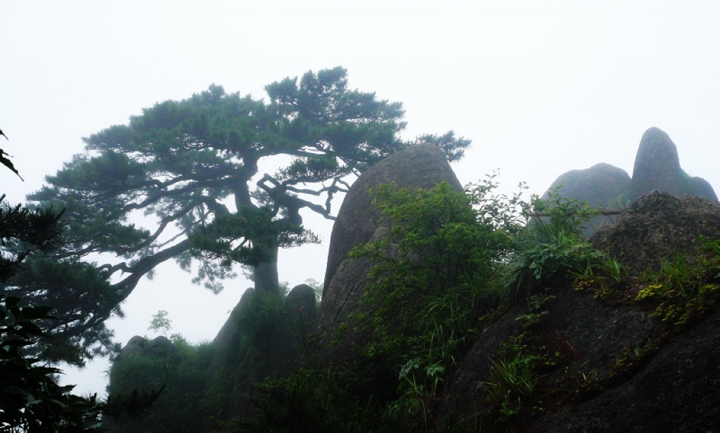 自驾黄山游10 摄影 爱琴海岸