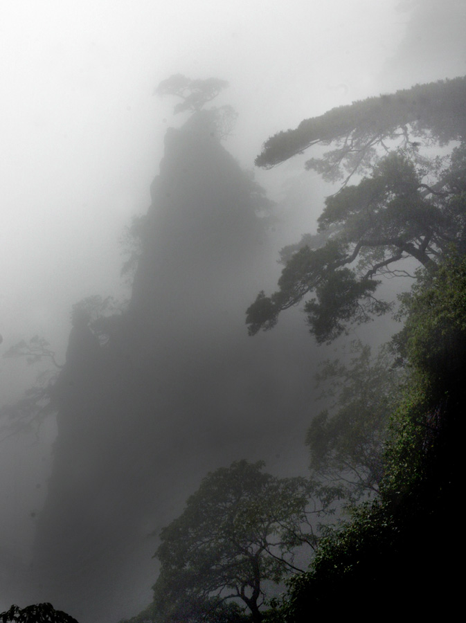 烟雨三清山  2 摄影 安全