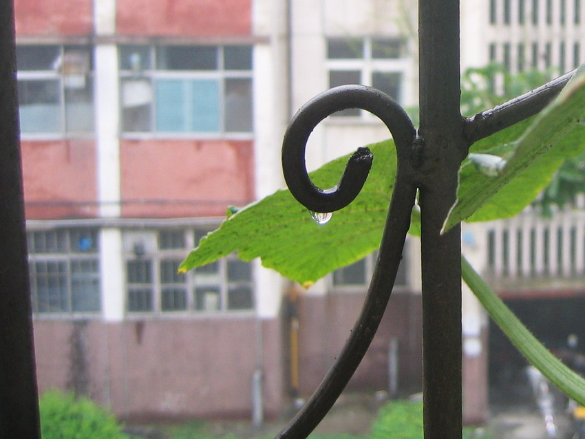 雨后 摄影 林海子