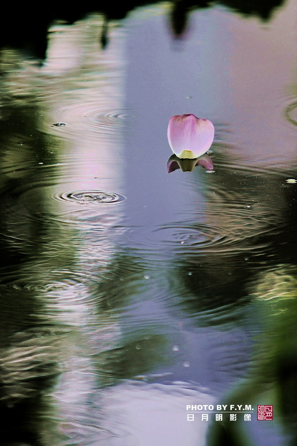 小雨伴小船 摄影 广州日月明