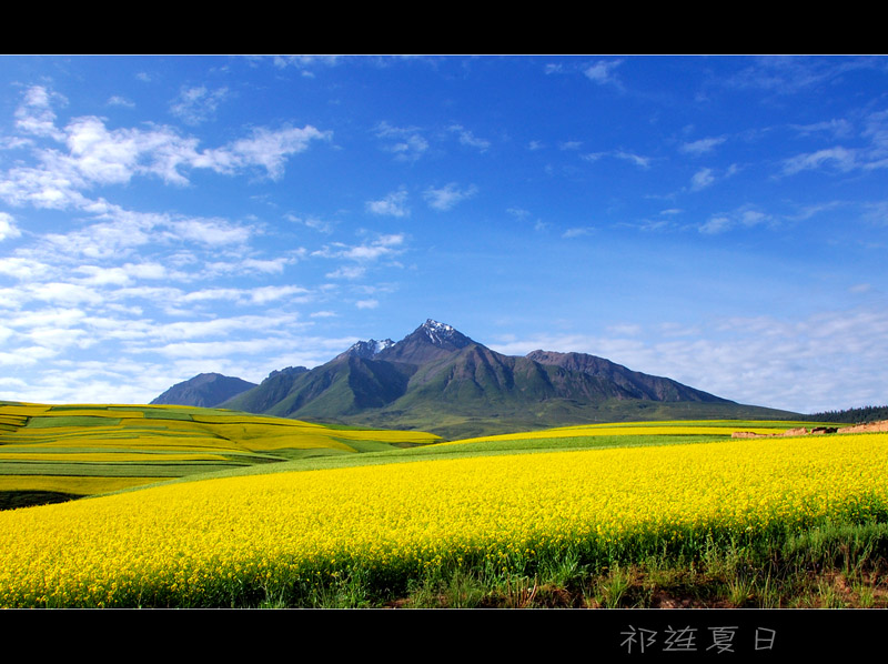 祁连夏日 摄影 西部深蓝