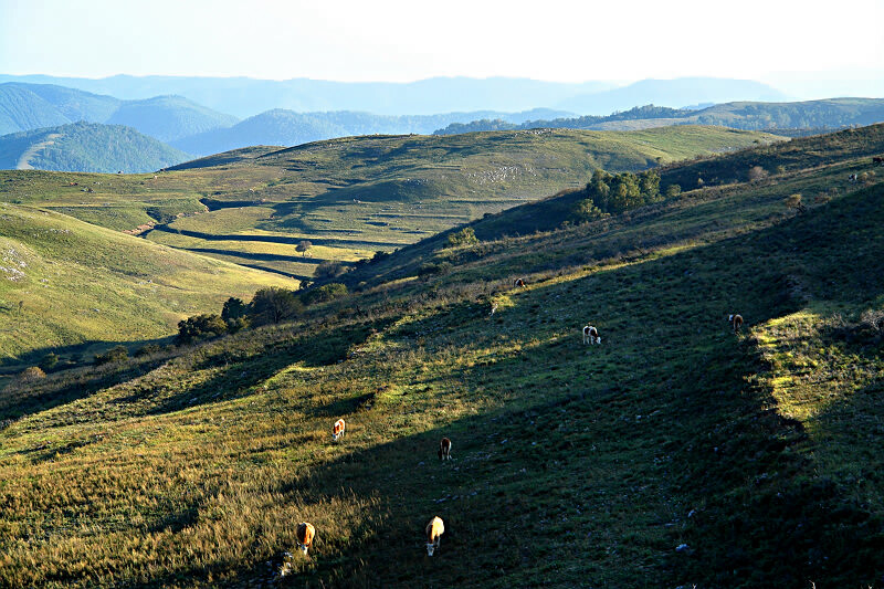 山野 摄影 山汉进城