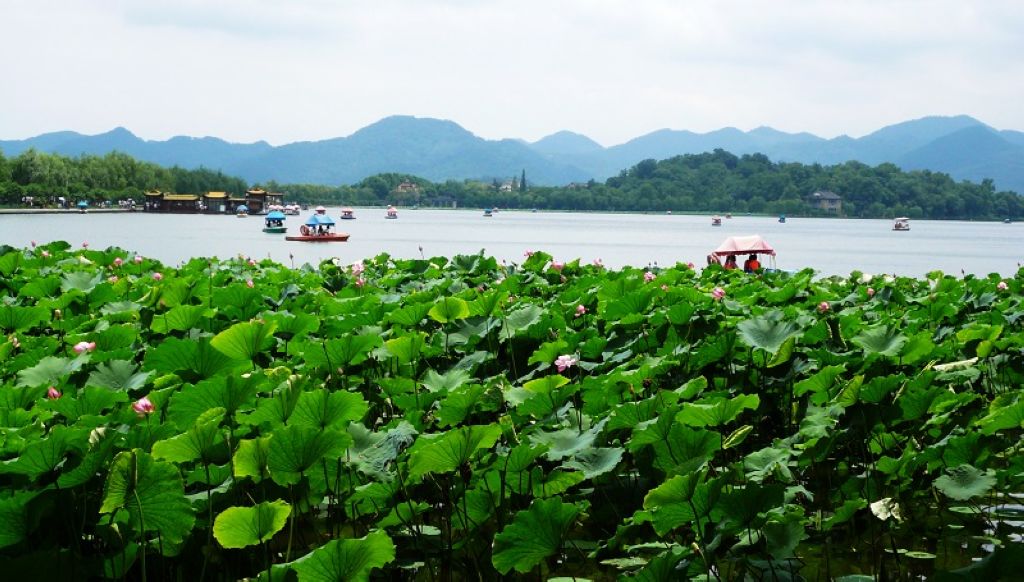 西湖 摄影 爱琴海岸